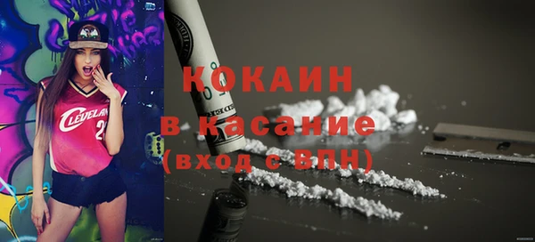 прущие крисы Кулебаки