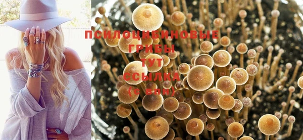 мескалин Кукмор