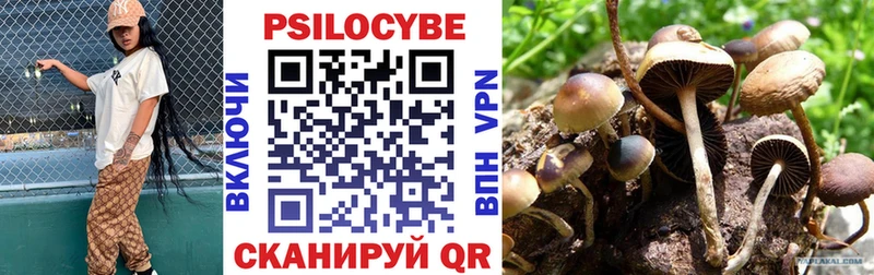 купить наркоту  Благодарный  Галлюциногенные грибы Magic Shrooms 