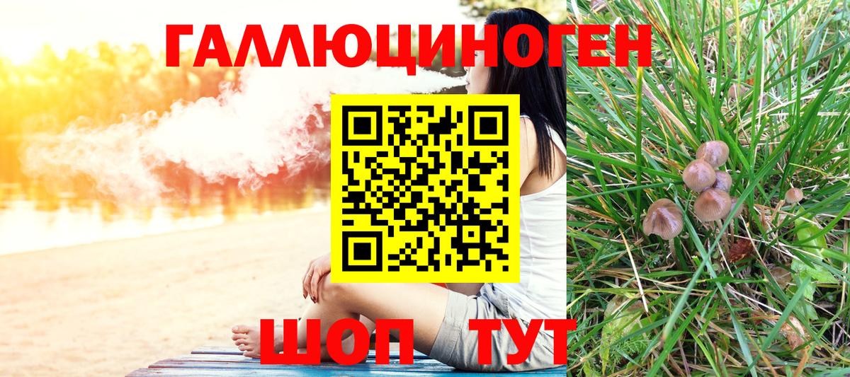 Галлюциногенные грибы Cubensis Благодарный