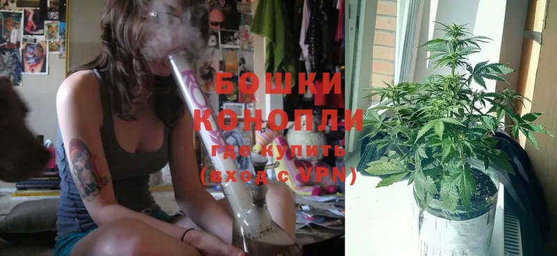 Бошки марихуана Ganja  Благодарный 